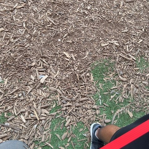 20260703_183209_bd1559.jpg